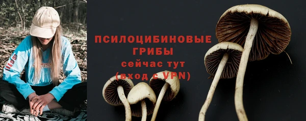 бошки Ладушкин