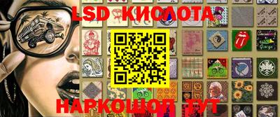 спиды Донской