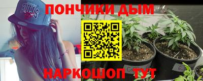 спиды Донской