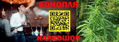 спиды Донской