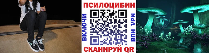 Галлюциногенные грибы MAGIC MUSHROOMS  купить наркотик  KRAKEN как войти  Малгобек 