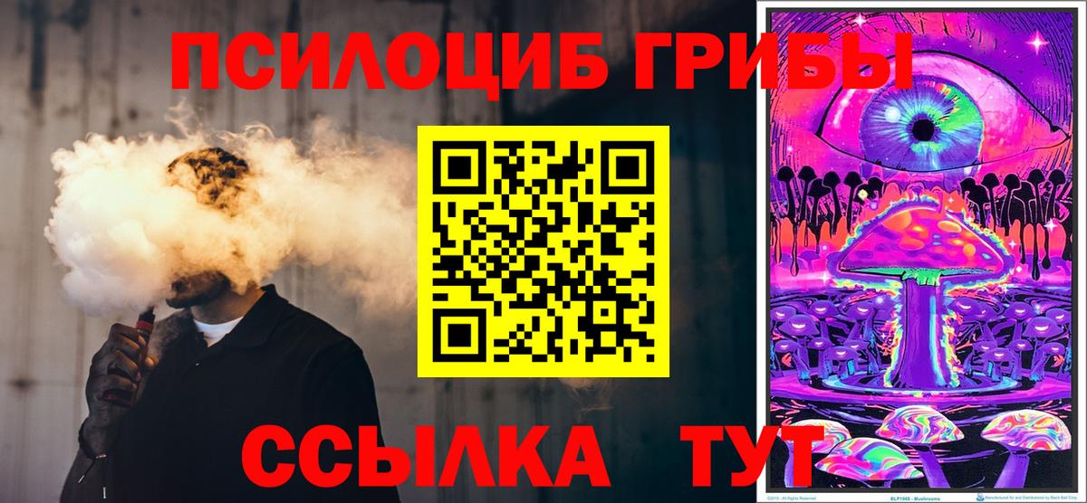 Малгобек  Псилоцибиновые грибы Psilocybe  Вход с VPN 