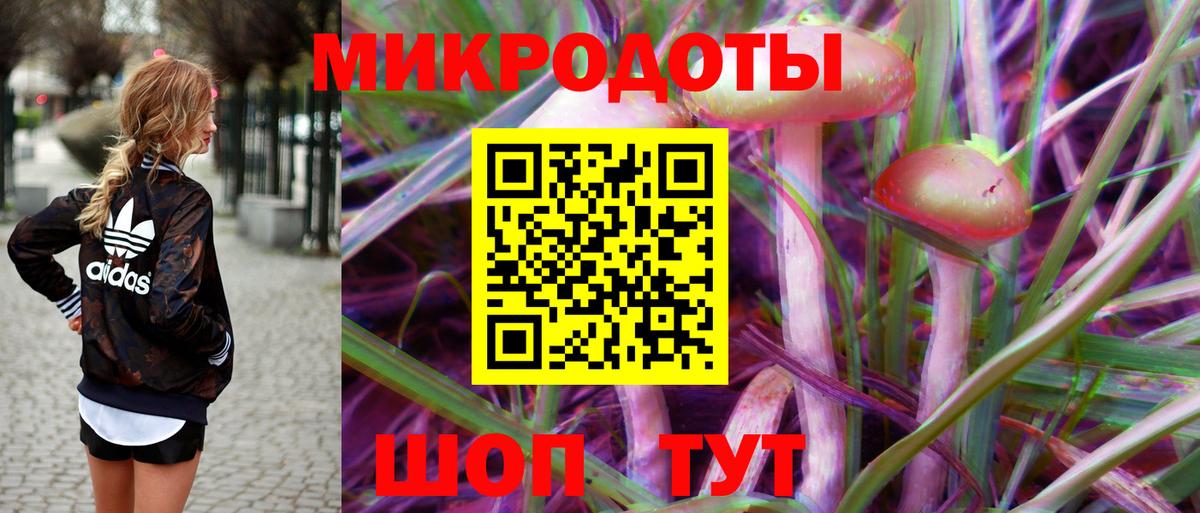 Псилоцибиновые грибы мицелий Малгобек